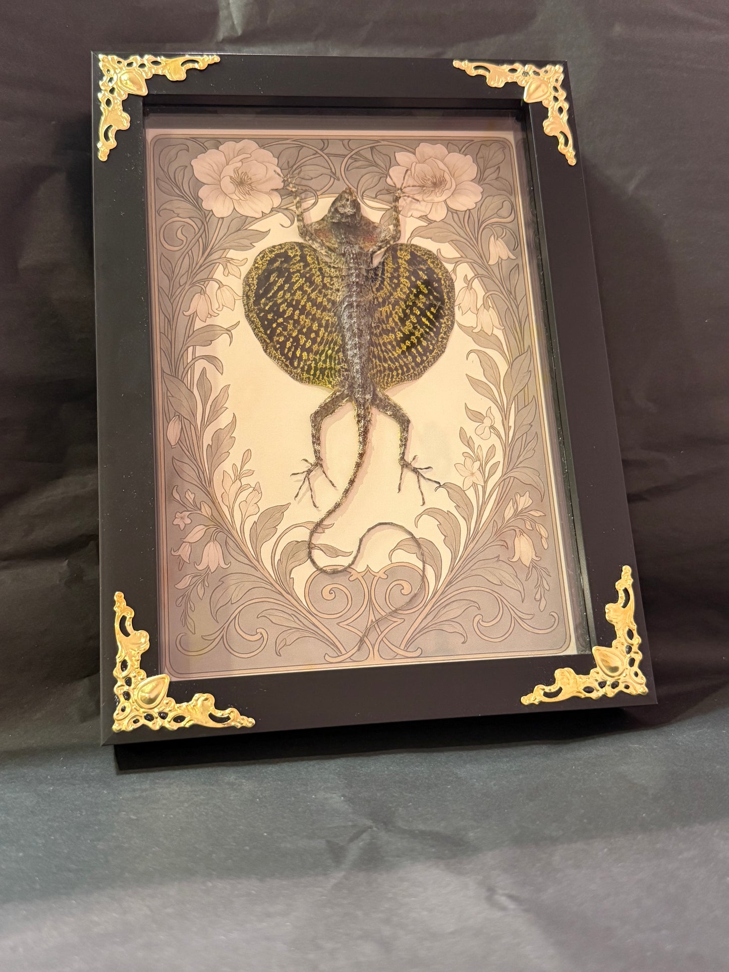 Flying Lizard Small Taxidermy Garden Frame