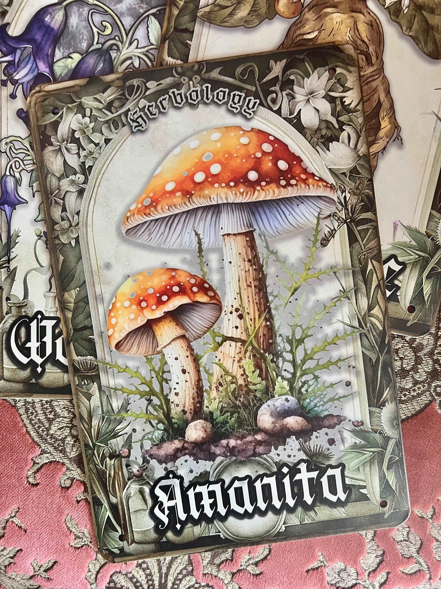 AMANITA HERBOLOGY - Tin Sign