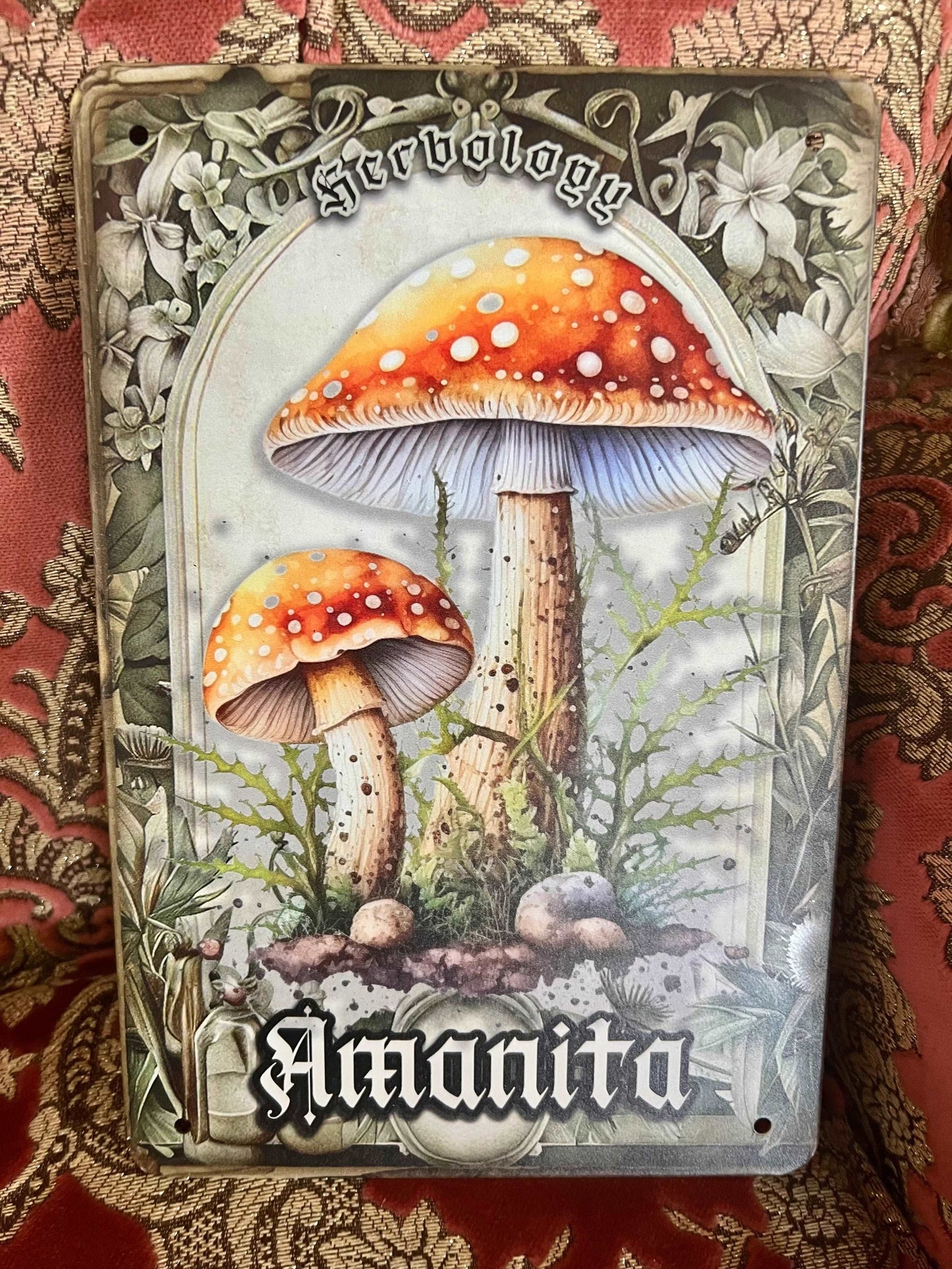 AMANITA HERBOLOGY - Tin Sign