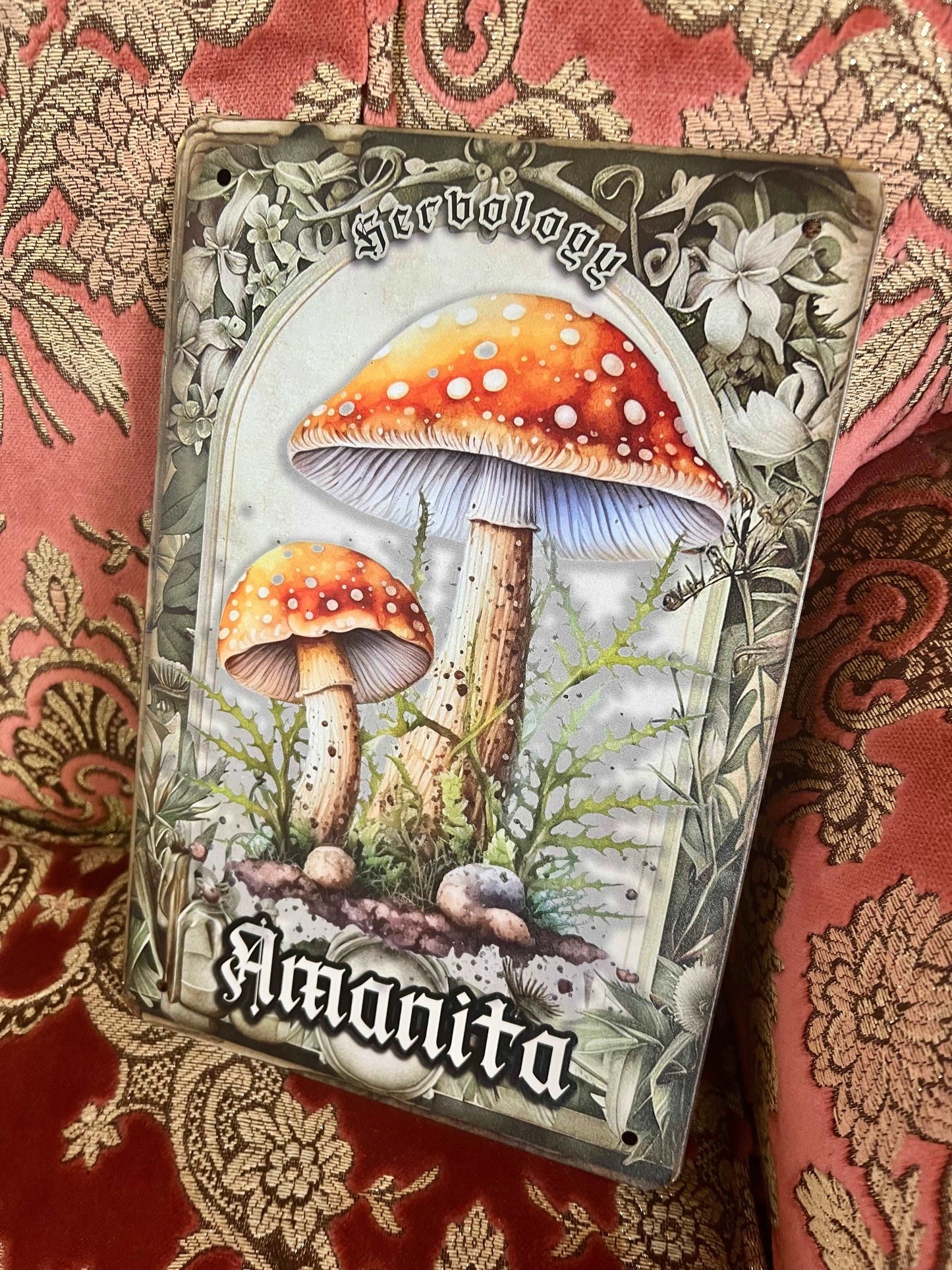 AMANITA HERBOLOGY - Tin Sign