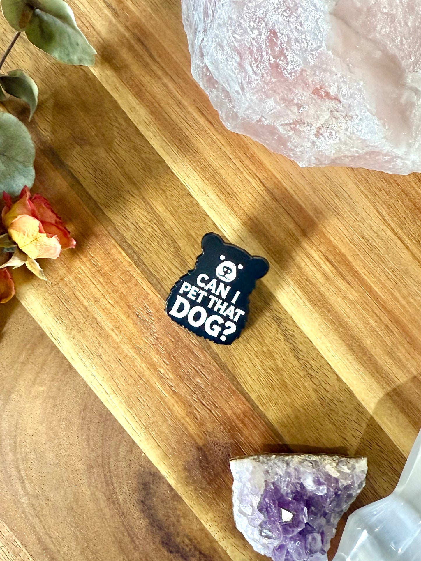 Can I Pet That Dog? Pin