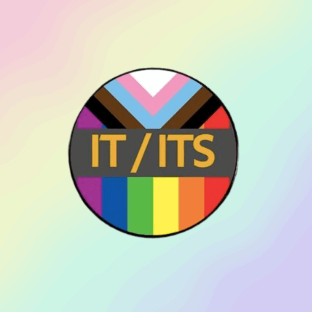 It/ Its Pronoun Pins