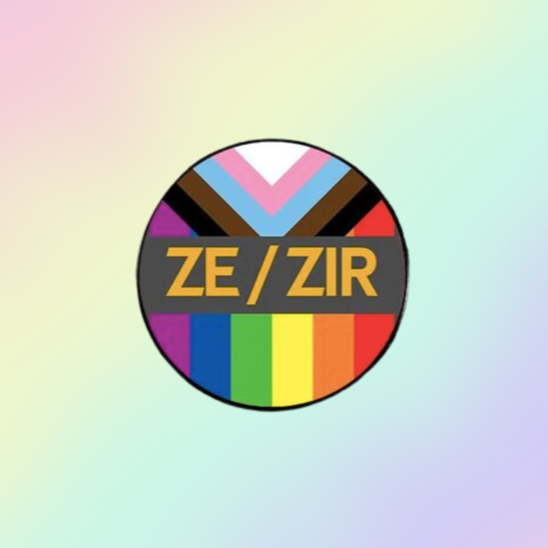 Zi/ Zer Pronoun Pin