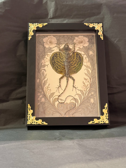 Flying Lizard Small Taxidermy Garden Frame