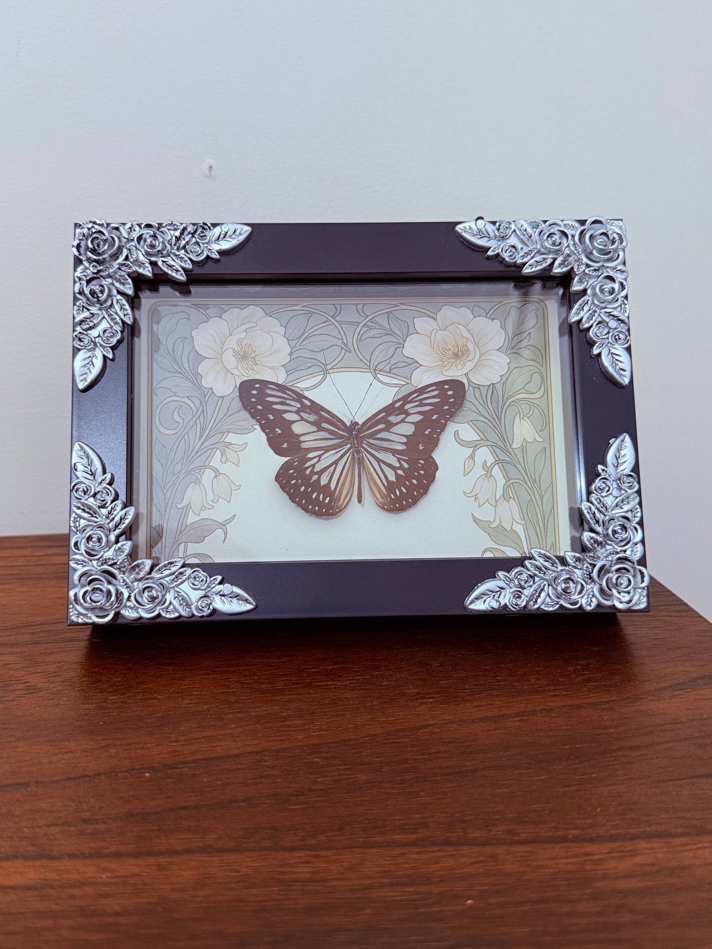 Grey Glassy Tiger Butterfly Taxidermy