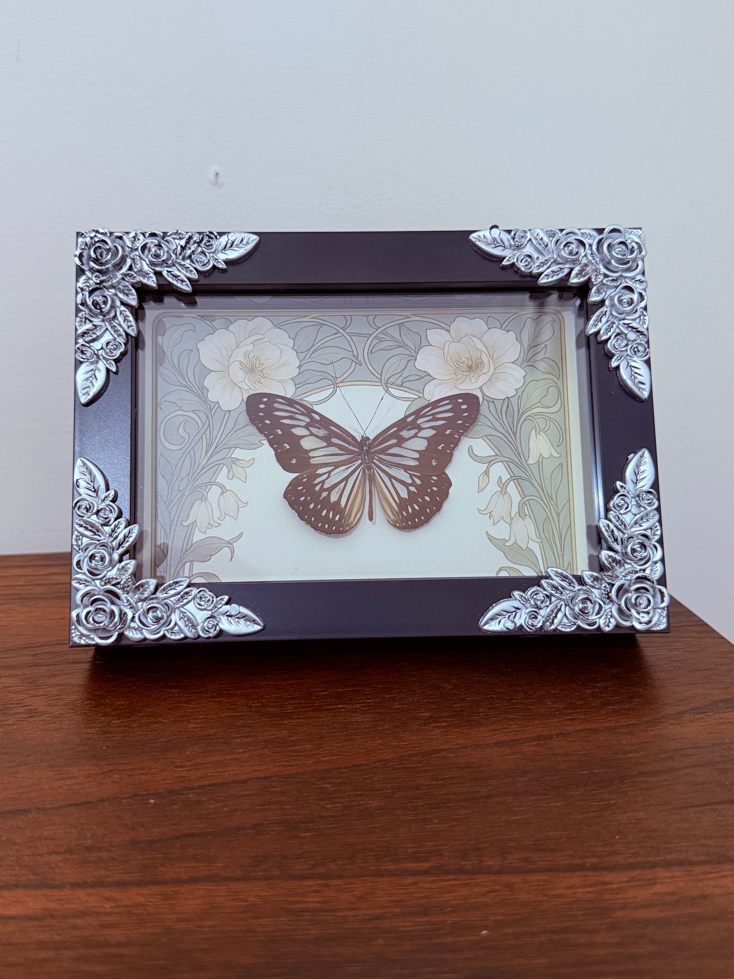 Grey Glassy Tiger Butterfly Taxidermy
