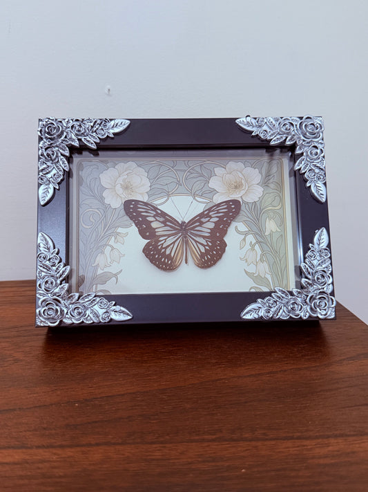 Grey Glassy Tiger Butterfly Taxidermy