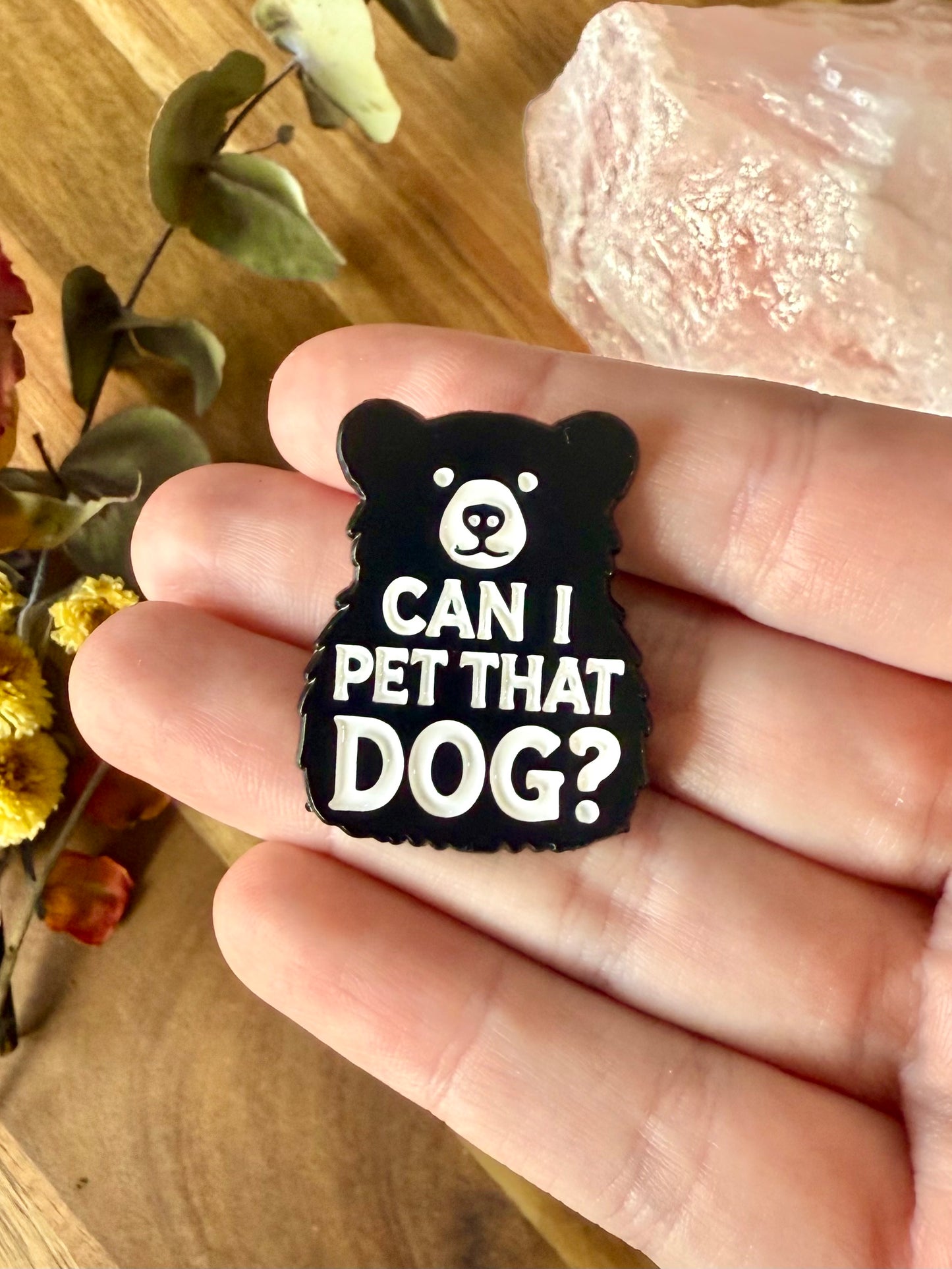 Can I Pet That Dog? Pin