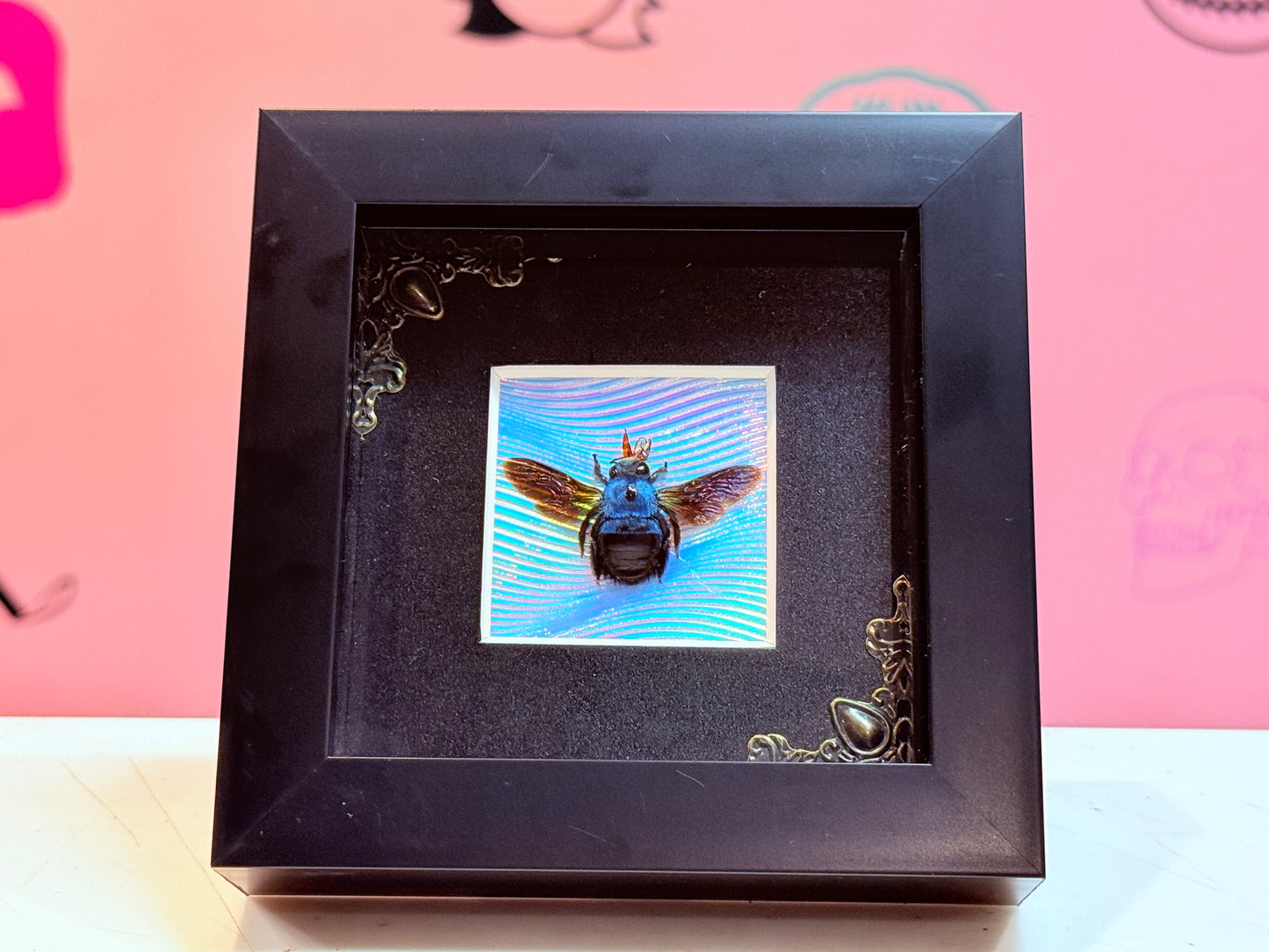 Blue Carpenter Bee Taxidermy