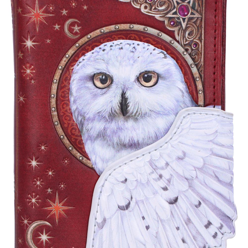 Magical Flight Owl Embossed Purse